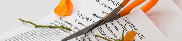Scissors cutting through a printed document, with snippets of text visible and orange flower petals scattered around.