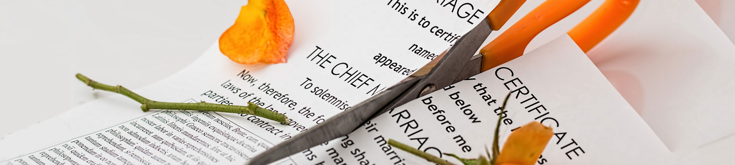 Scissors cutting through a printed document, with snippets of text visible and orange flower petals scattered around.