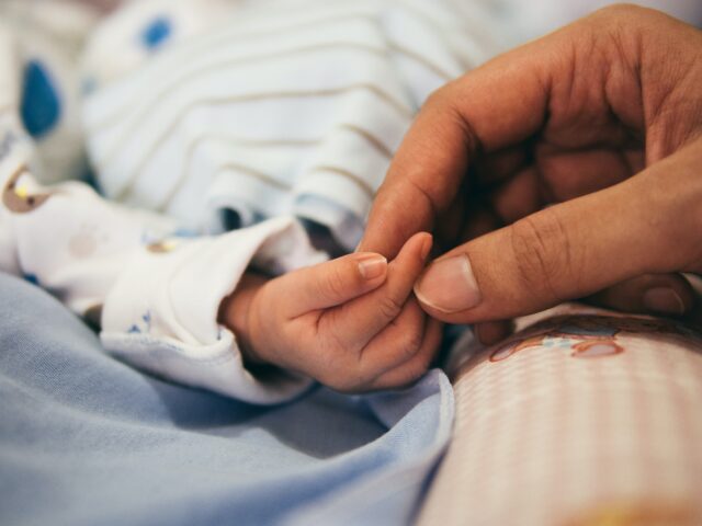 person holding baby hand